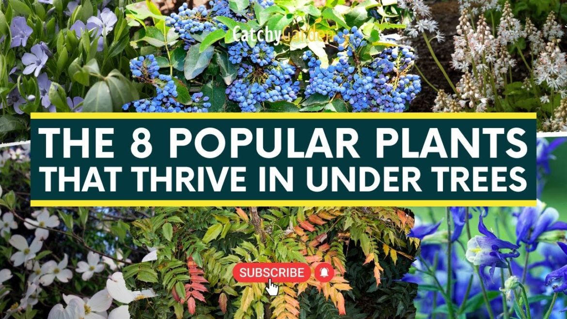 The 8 Popular Plants That Thrive In Under Trees π³πΈπ // Gardening Tips The 8 Popular Plants That Thrive In Under Trees π³πΈπ // Gardening Tips