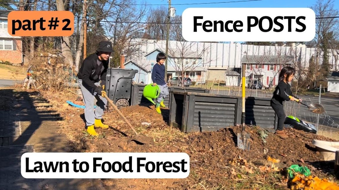 My Lawn to Food Forest Updates. Fence Posts. 2023 Front Yard Garden Transformation. Part #2.