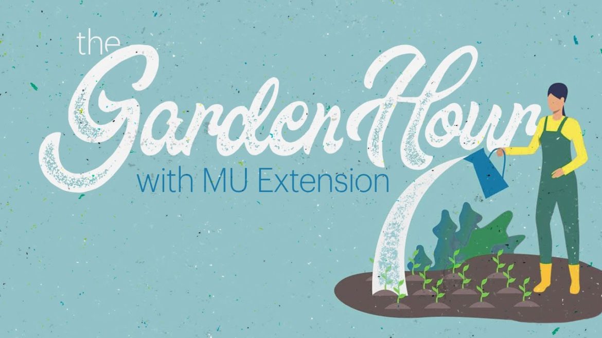 The Garden Hour with MU Extension – 2/15/23