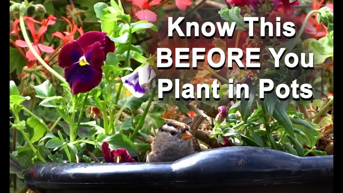 Grow Tons Food in Small Spaces Easy Set-Up Container Garden Vegetables Kale & MORE Flower Pot Plants