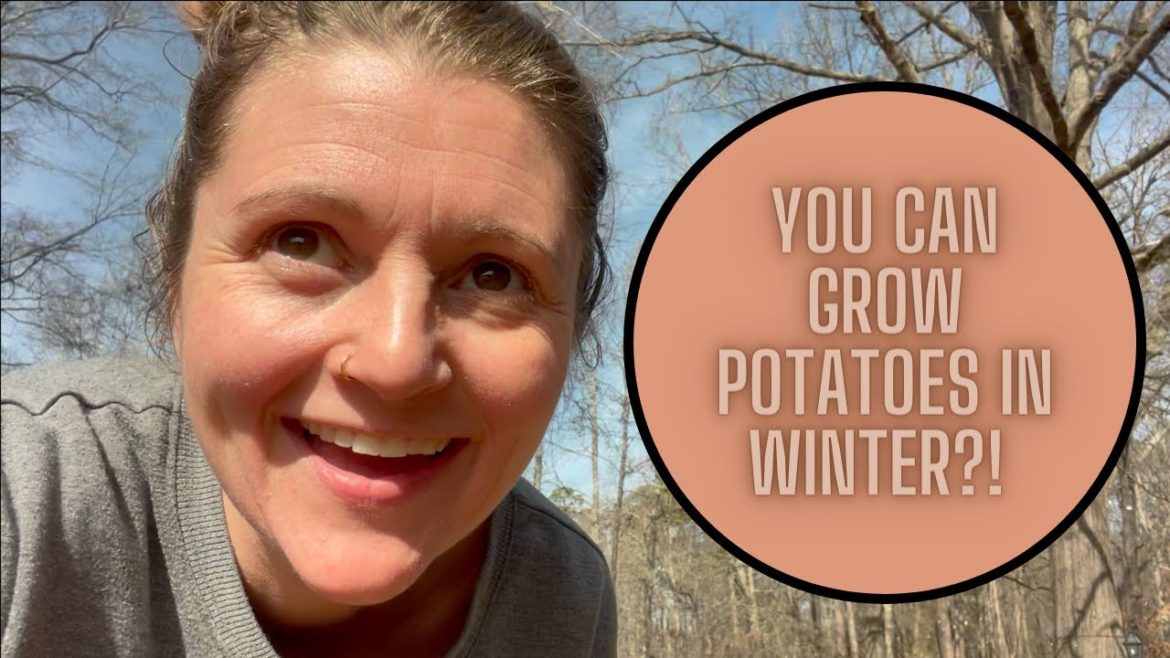 💭GROWING POTATOES IN WINTER?!!  + DIY soil #containergardening #growbags #zone7b #potatoes