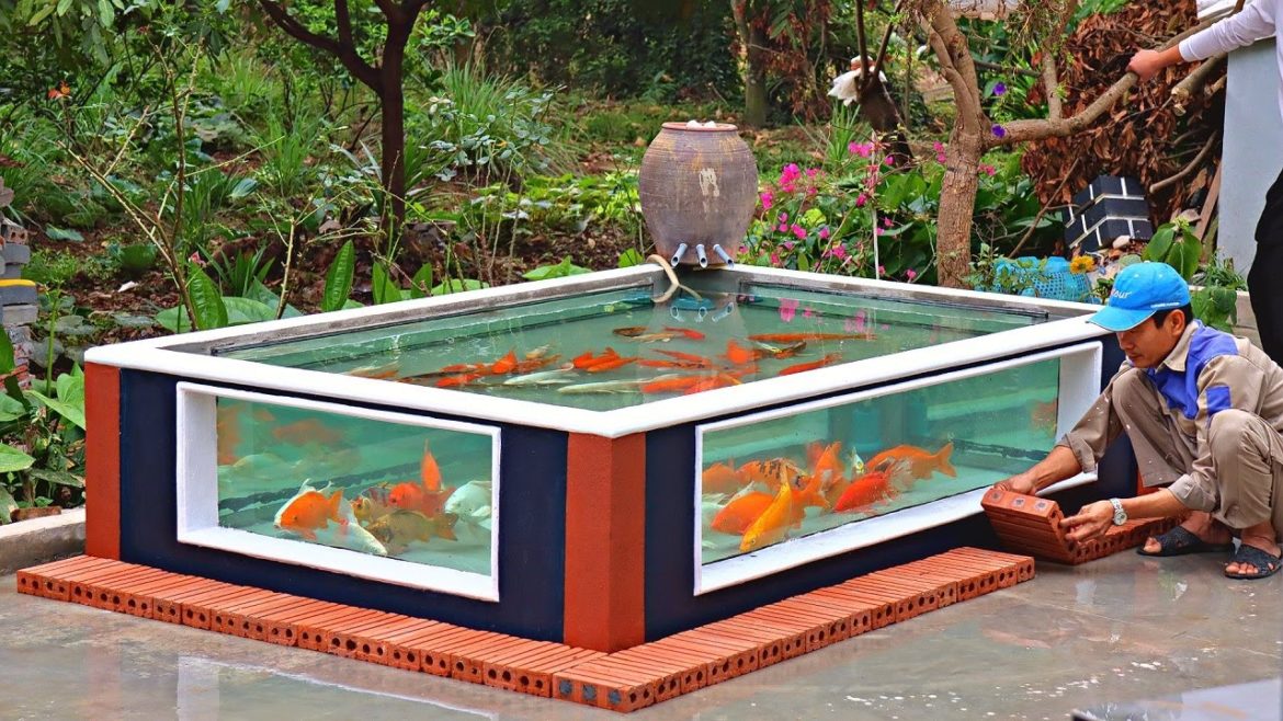 How To Make Outdoor Aquarium Sustainable - Design And Decorations