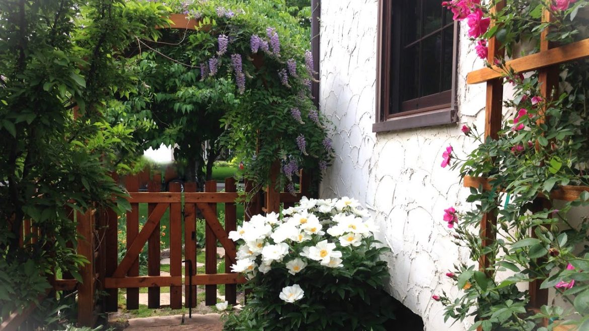 Designing Our Enchanted Narrow Side-Yard Garden: From Planning to Maturity Designing Our Enchanted Narrow Side-Yard Garden: From Planning to Maturity