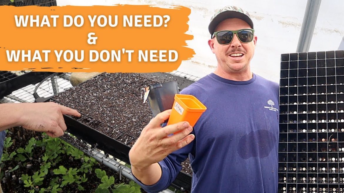 COMPLETE SEED STARTING GUIDE | SUPPLIES, TIPS, AND MORE! COMPLETE SEED STARTING GUIDE | SUPPLIES, TIPS, AND MORE!