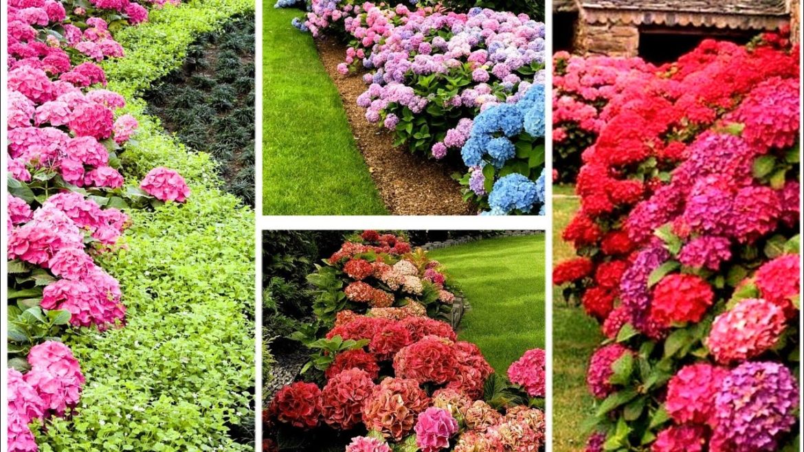 Top small garden design ideas 2023 | beautiful gardening ideas | home garden decoration ideas