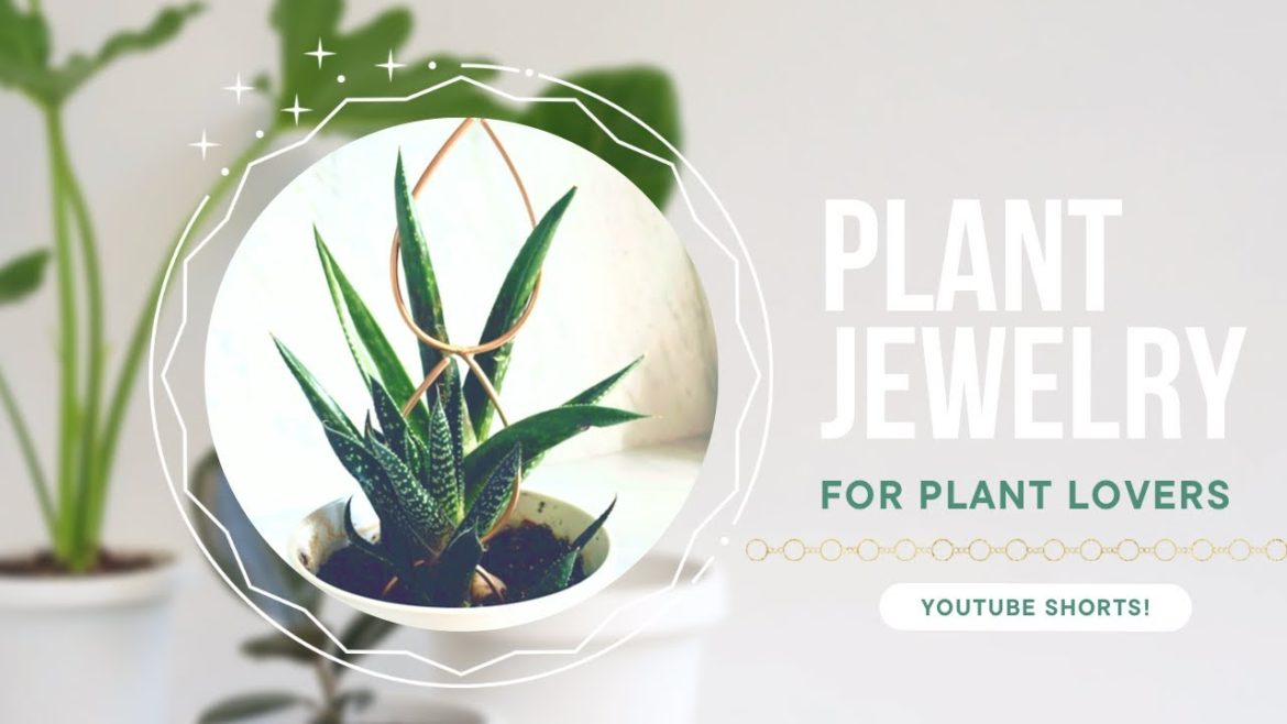 Plant Jewelry for House Plants Plant Jewelry for House Plants