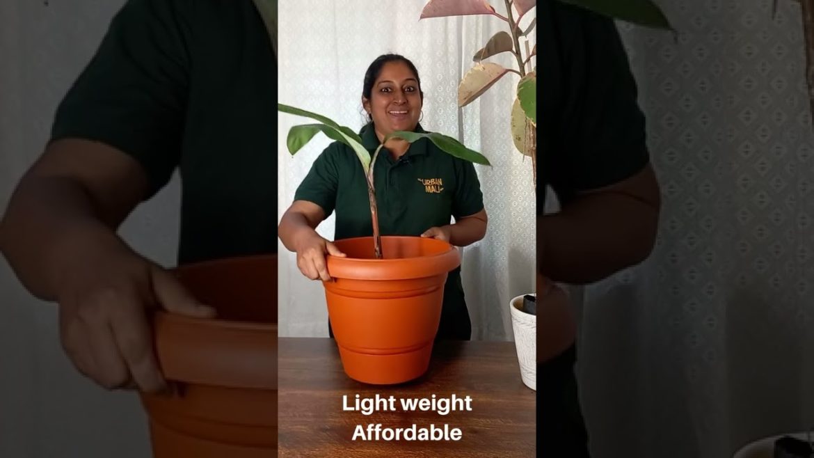Container Gardening