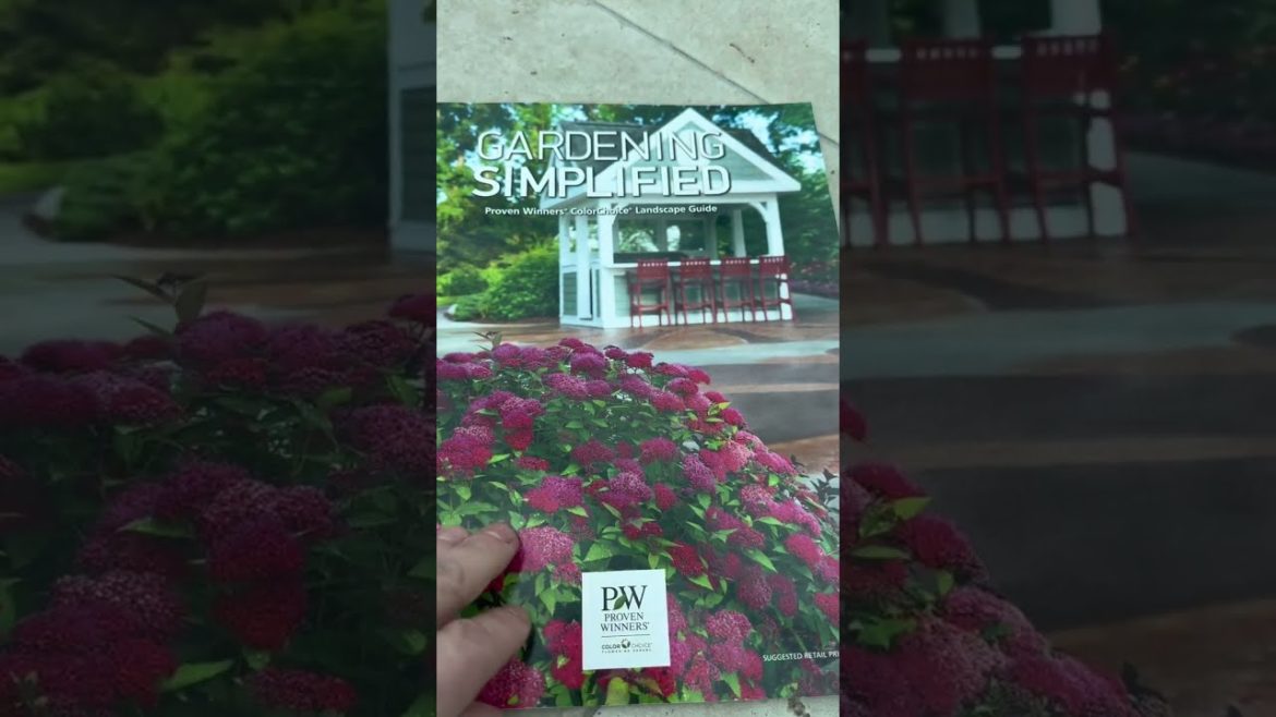 TOP RATED GARDEN COMPANIES 🌷🌼NEW 2023 CATALOGUES📒📮