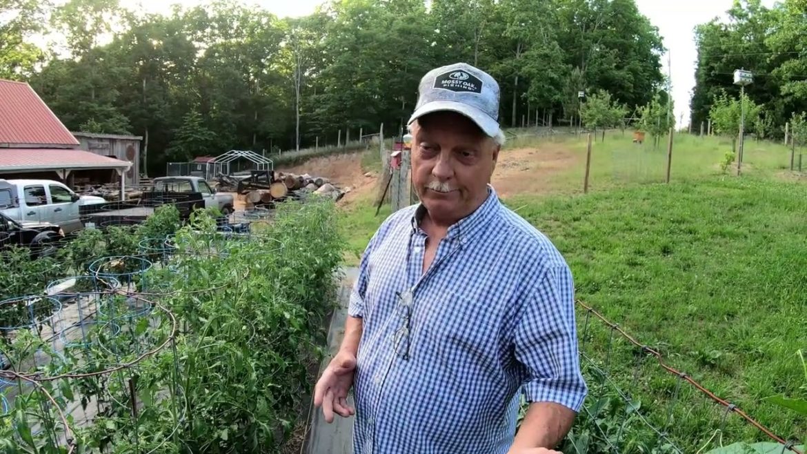 ElectroCulture Gardening