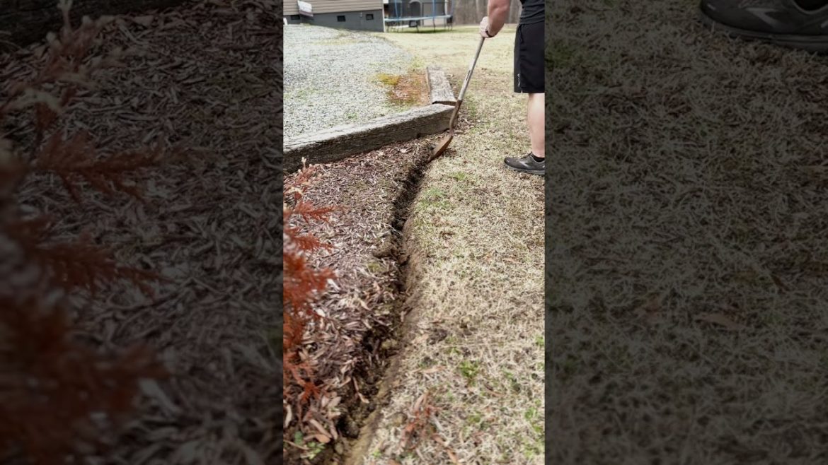 5 cheap ways to improve your curb appeal when selling your home 5 cheap ways to improve your curb appeal when selling your home