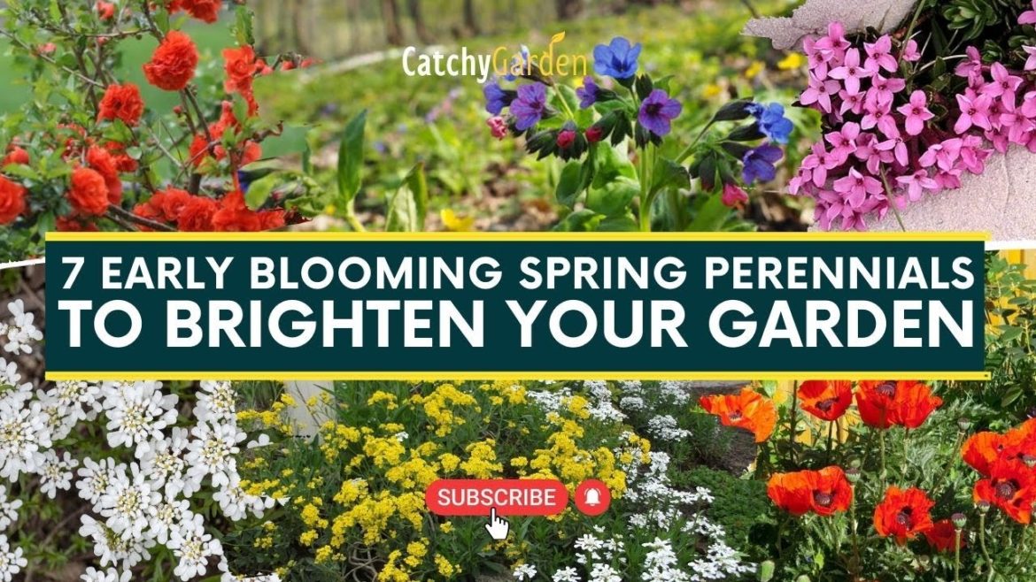 7 Early Blooming Spring Perennials To Brighten Your Garden πΉπΈ // Gardening Tips 7 Early Blooming Spring Perennials To Brighten Your Garden πΉπΈ // Gardening Tips