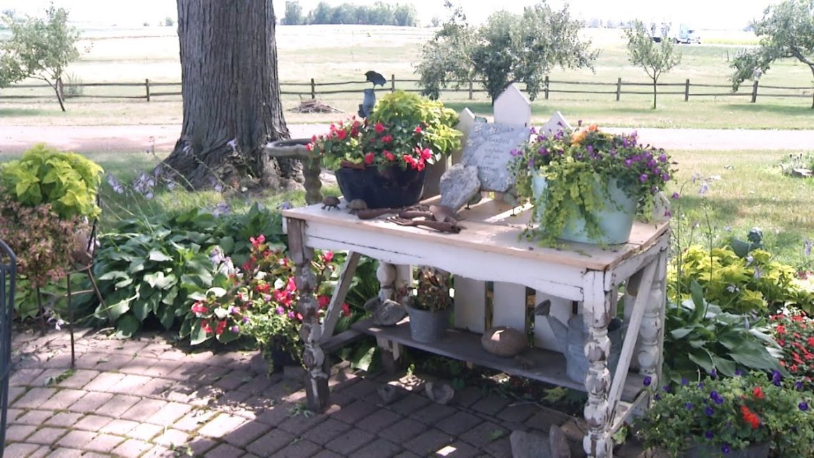 Prairie Yard & Garden 3603 | Udderly Beautiful | Front Patio Fun Prairie Yard & Garden 3603 | Udderly Beautiful | Front Patio Fun