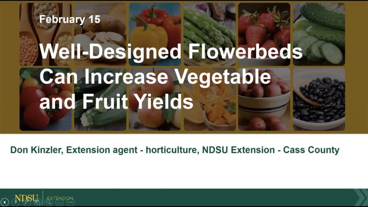 Field to Fork 2023: Well-Designed Flowerbeds Can Increase Vegetable and Fruit Yields w/ Don Kinzler Field to Fork 2023: Well-Designed Flowerbeds Can Increase Vegetable and Fruit Yields w/ Don Kinzler