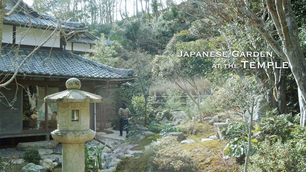 (Pro.57) 5 years after completion. We went to maintain the Japanese garden at the temple. (Pro.57) 5 years after completion. We went to maintain the Japanese garden at the temple.