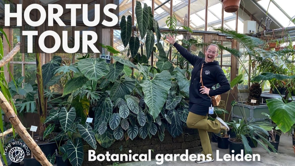 Tour of the Botanical Gardens! Check out Hortus Leiden with me | Plant with Roos