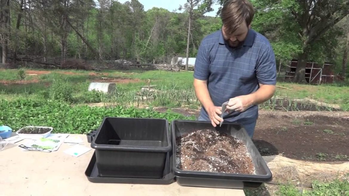 UrBin Grower small container garden review, setup and test. Impressive results! UrBin Grower small container garden review, setup and test. Impressive results!