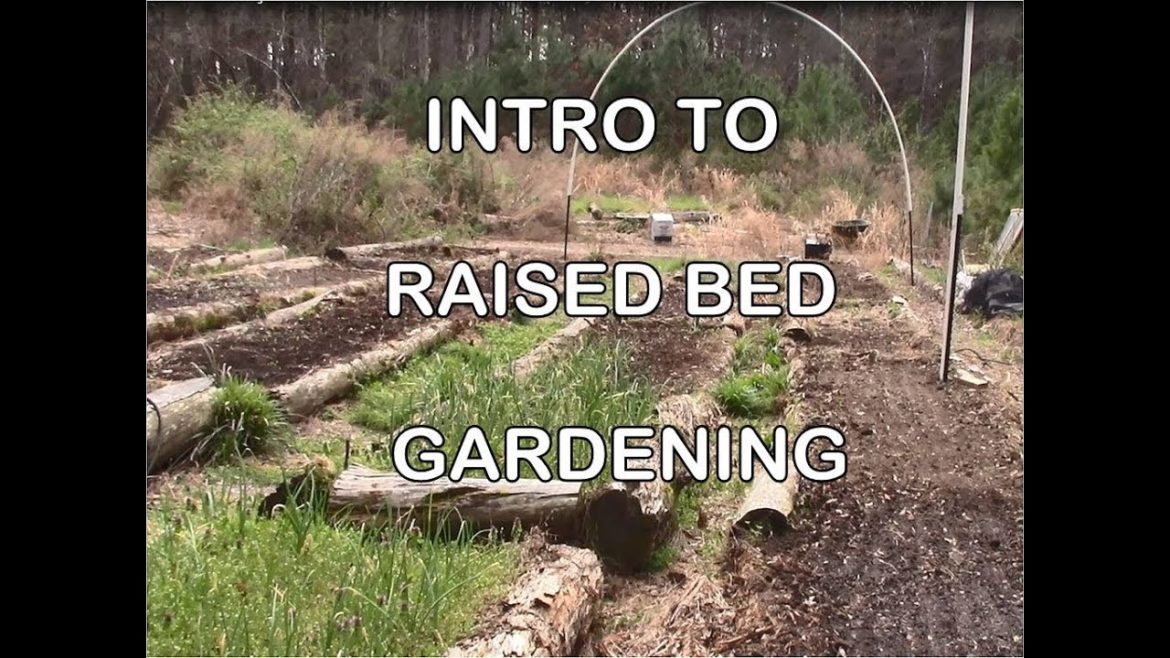 Raised Bed Garden Tips - Raised Beds 101