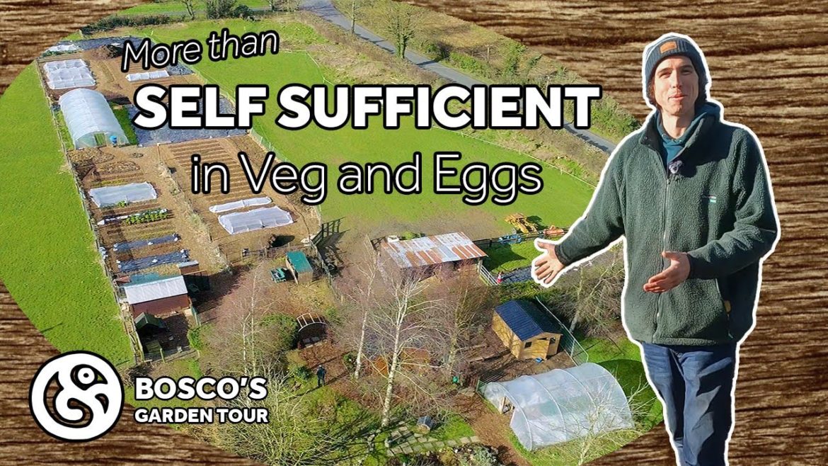 Our Permaculture Homestead, Market Garden and Food Forests in February