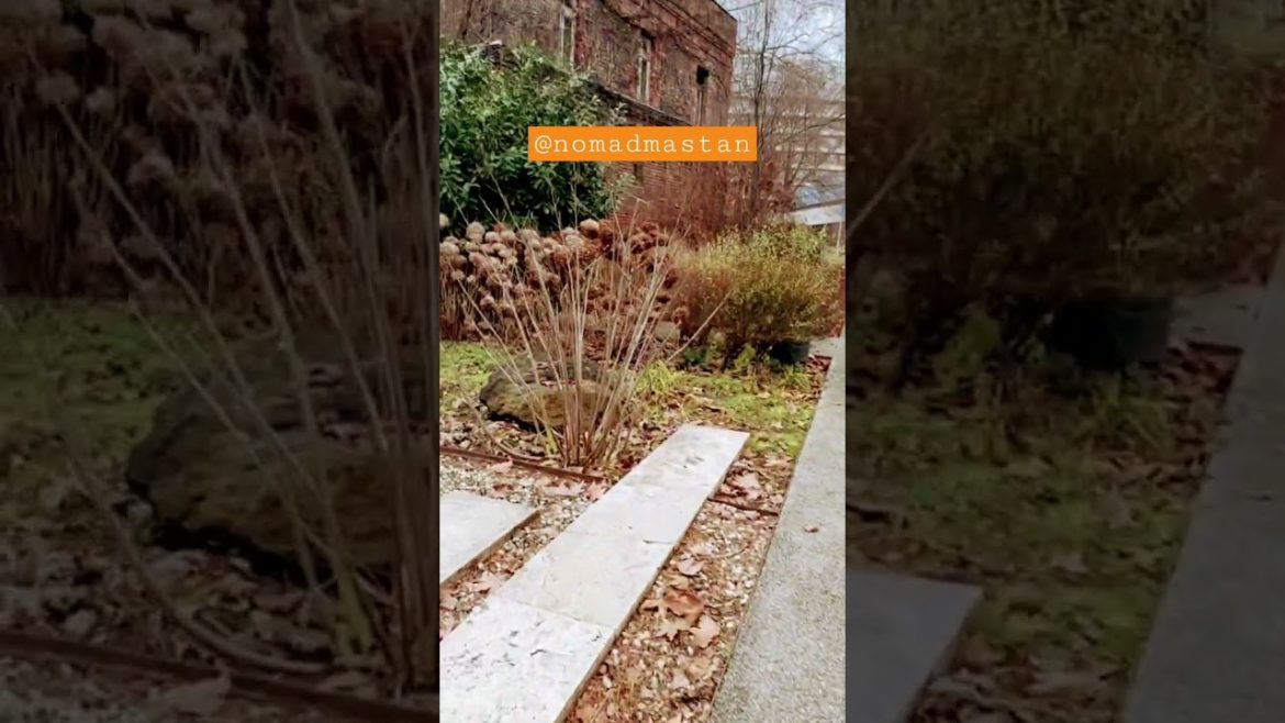 Japanese garden Hungary 🇭🇺 #indian #budapest #trendingshorts #shorts #shortvideo #youtubeshorts