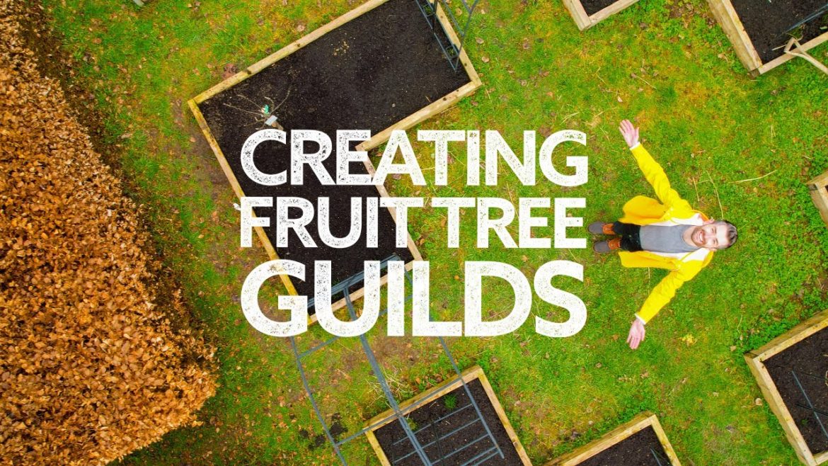Fruit Tree Guilds | Why You Should Design & Create Your Own