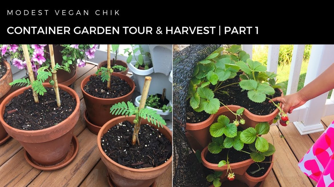 Container Garden Tour and Harvest Part 1 | Alkaline Gardening | Dr Sebi Approved Foods Container Garden Tour and Harvest Part 1 | Alkaline Gardening | Dr Sebi Approved Foods