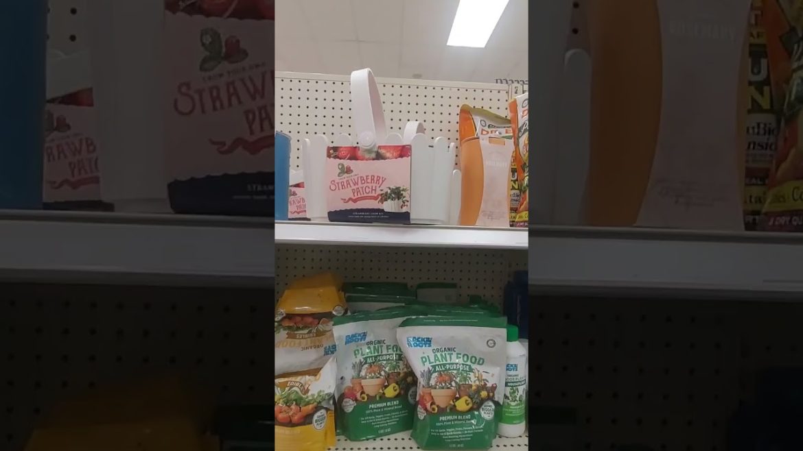 Target Gardening supplies! #target #gardensupplies Target Gardening supplies! #target #gardensupplies