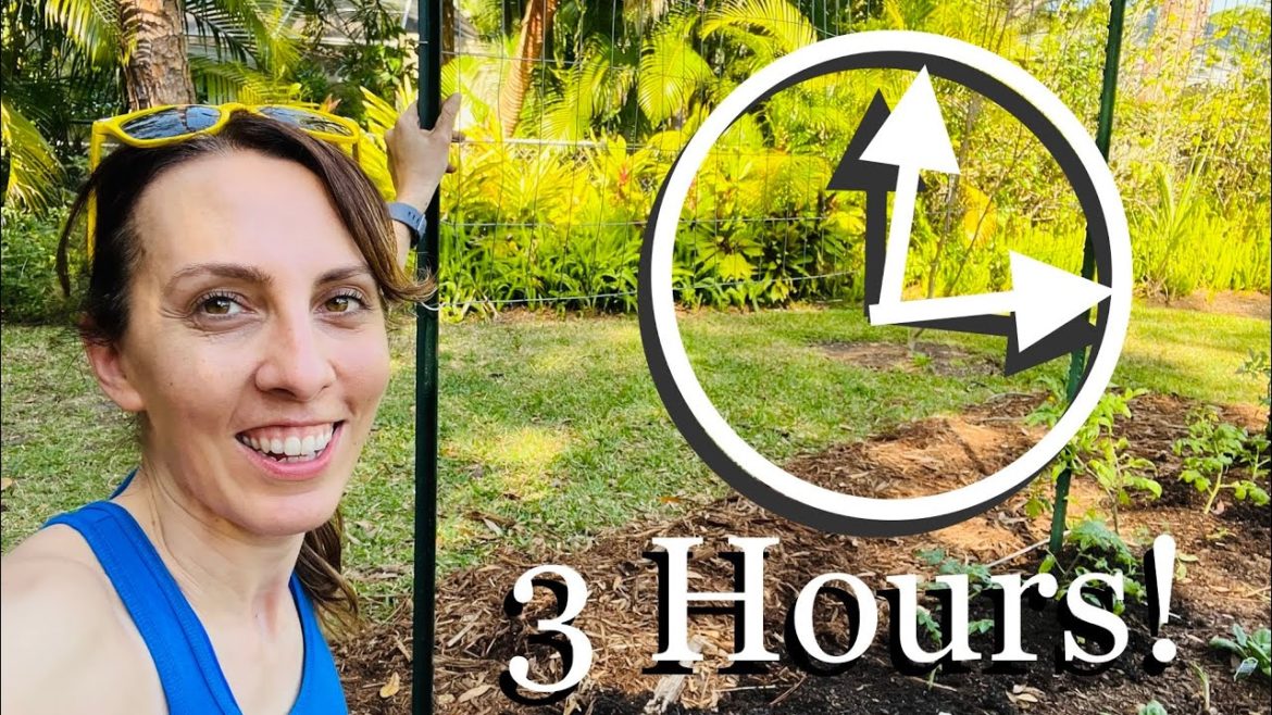 Racing the Clock: 3 Hours to Finish Spring Garden Prep