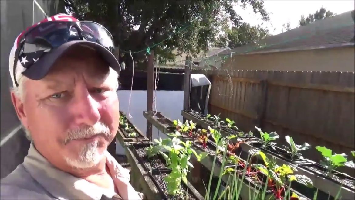 Elevated Container Garden Tour Backwoods Gourmet