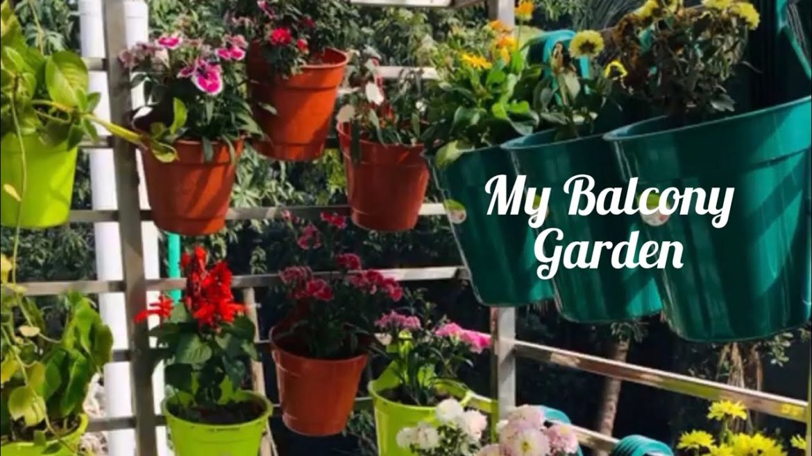 Balcony Garden Tour / Balcony Garden Ideas / Small Balcony Decoration Balcony Garden Tour / Balcony Garden Ideas / Small Balcony Decoration