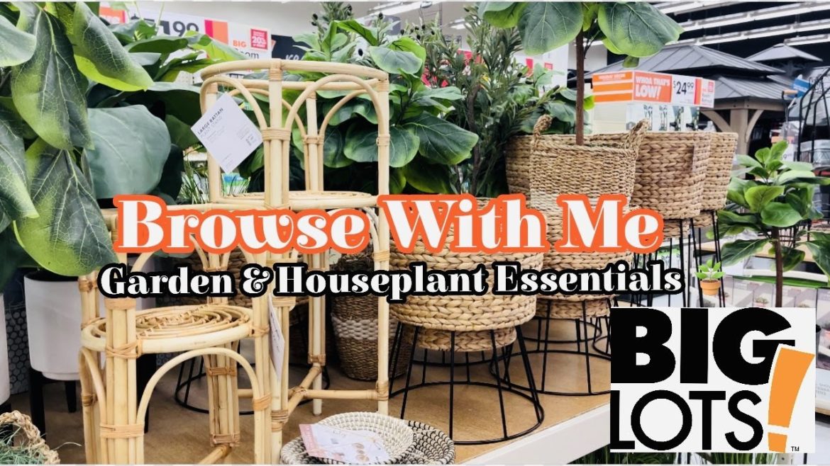 Browse with Me at Big Lots || Garden and Houseplant Essentials Browse with Me at Big Lots || Garden and Houseplant Essentials