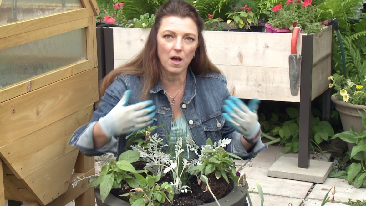 Easy as 1 2 3 Container Garden Planting How To