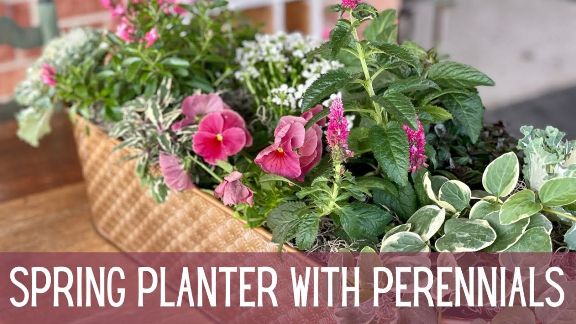 First Spring Planter of 2023! 🌷🌷🌷 || Spring Container with Perennials || Spring Container Garden