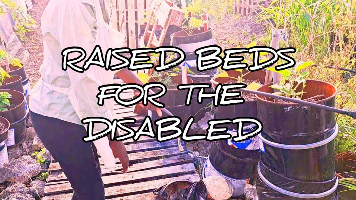 Raised Beds For The Disabled To Garden #gardeningthroughthewindows Raised Beds For The Disabled To Garden #gardeningthroughthewindows