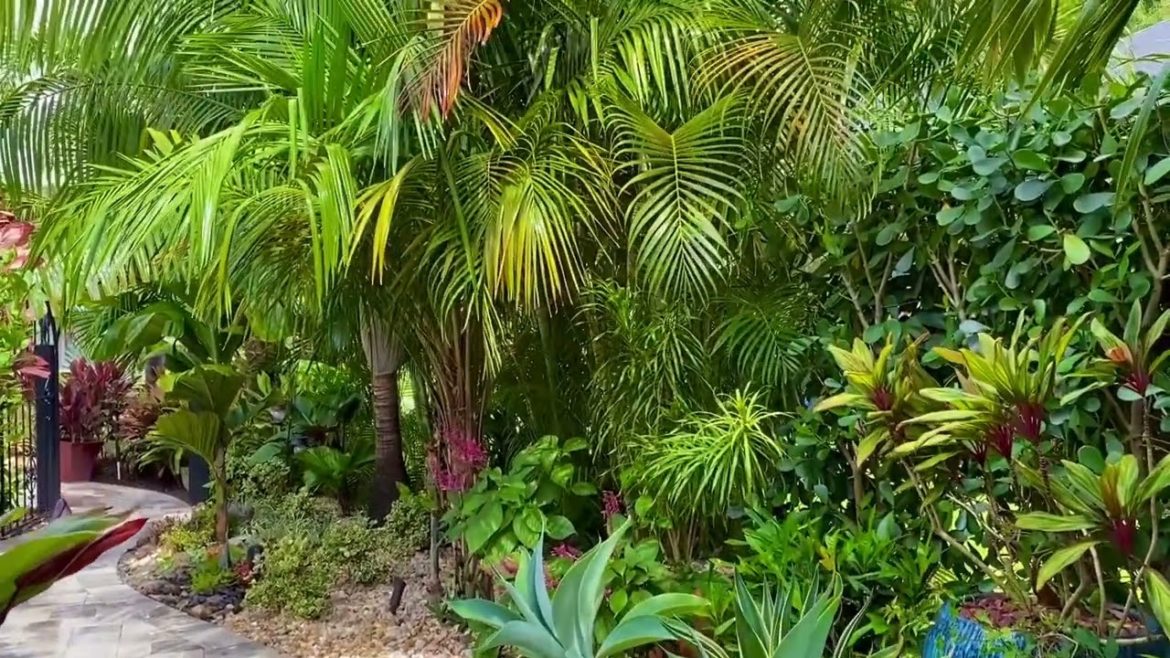 Relax with me by walking through my backyard on a Rainy Sunday morning.