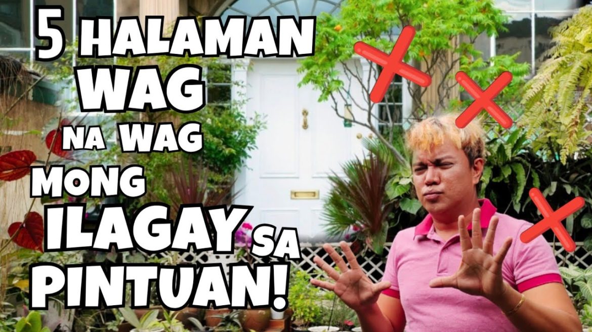 5 PLANTS THAT YOU SHOULD'NT PUT NEAR YOUR DOOR | BAKA MERON KA TANNGALIN MO NA