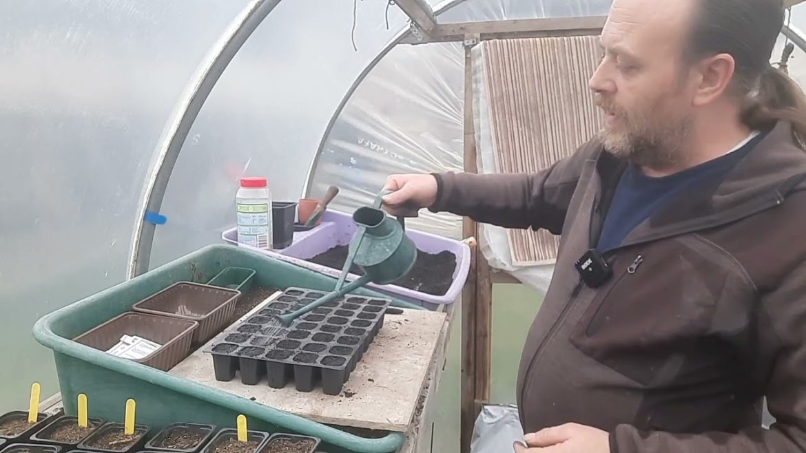 Allotment Update 20/ 2 /23 Sowing seeds & trying out some new compost