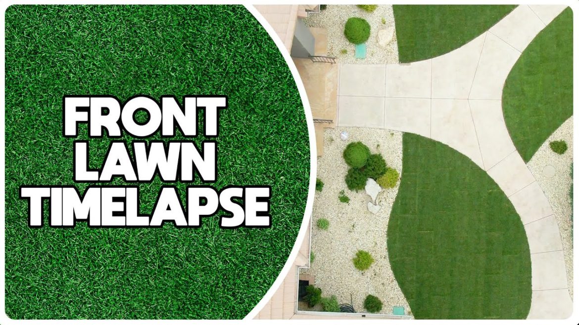 Complete Front Lawn Makeover - Timelapse