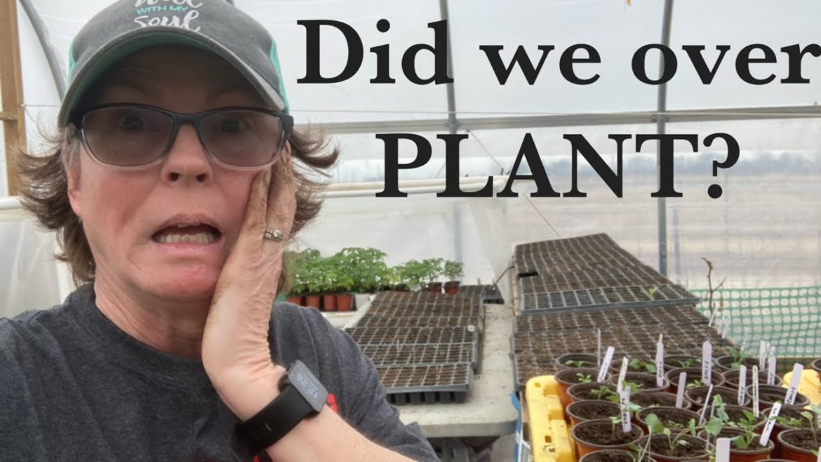 North Texas Gardening! Enormous seed start collection!