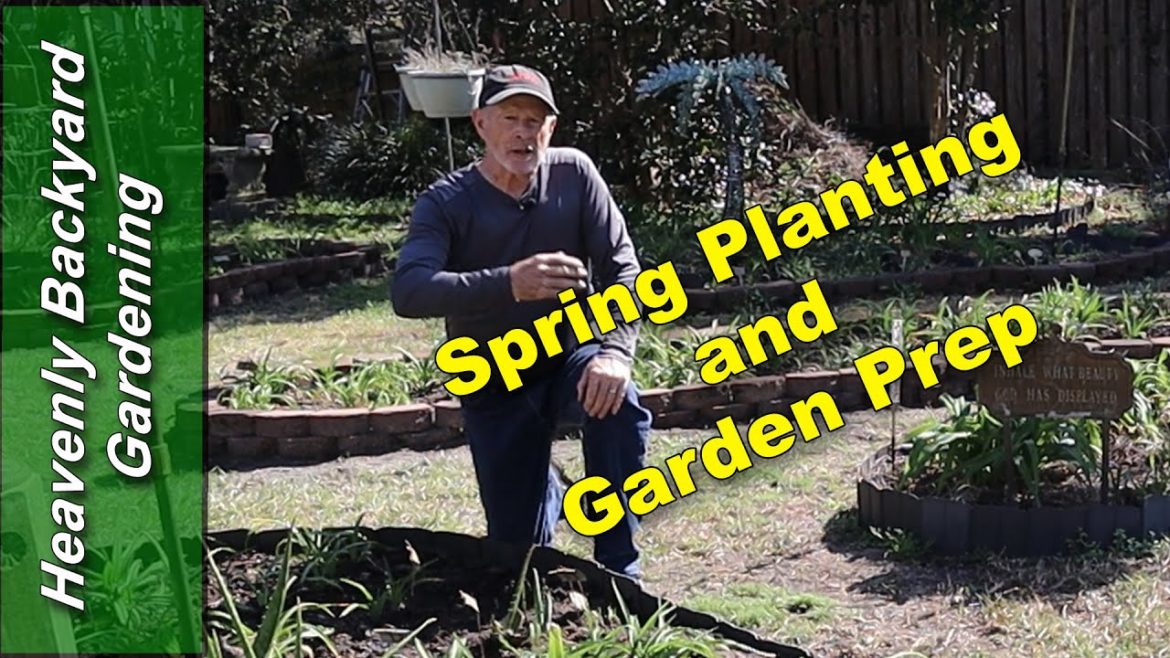 Potato Planting Time in the Heavenly Backyard Garden Potato Planting Time in the Heavenly Backyard Garden