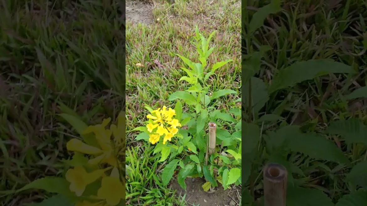 Oh obsulotely! What happen right now