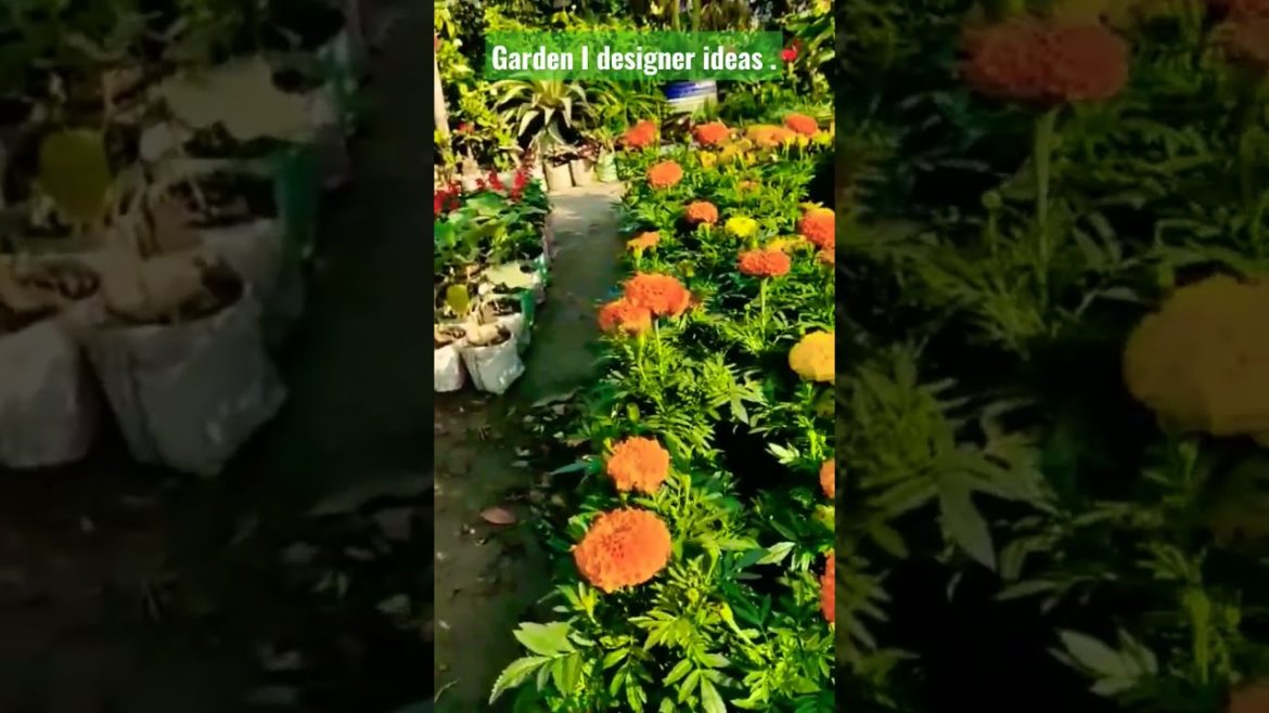 Gardening design ideas.#viral #viralvideo#design #gardening #flowers.