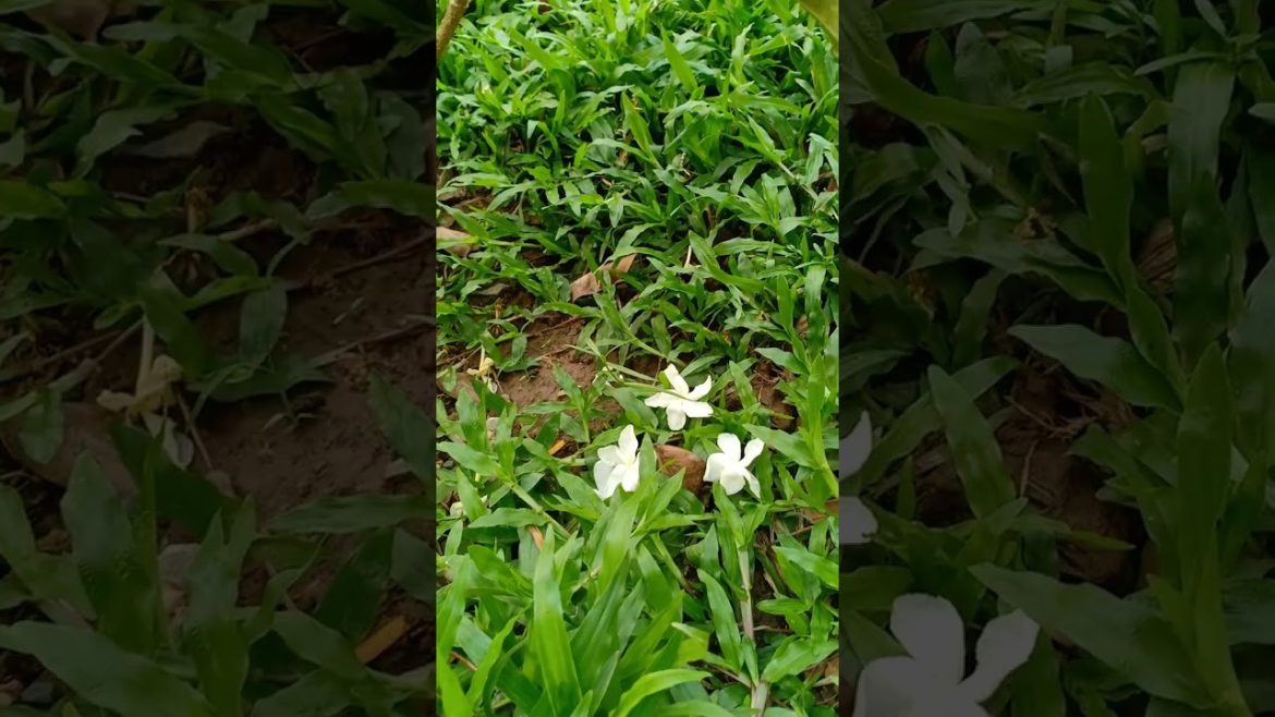 Oh obsulotely! What happen right now Oh obsulotely! What happen right now