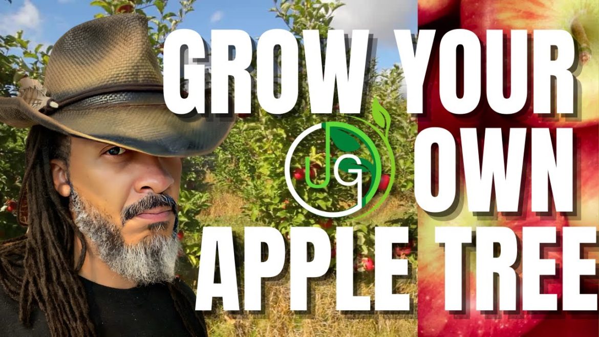 It Worked! Root Ball Apple Propagation#trending #gardening #urbangardening It Worked! Root Ball Apple Propagation#trending #gardening #urbangardening