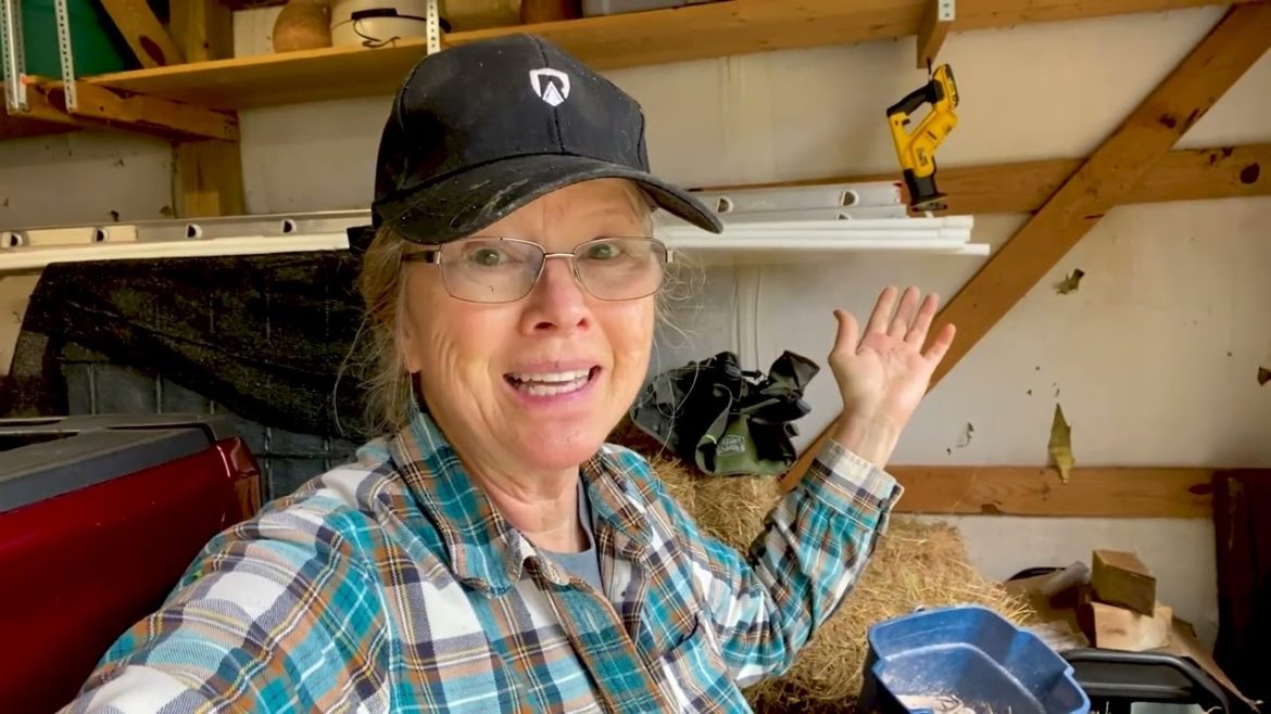 Kaye Kittrell: QUICK HOMESTEAD UPDATE | Preparing to plant peas, Hisea Boots, Kitty Fun QUICK HOMESTEAD UPDATE | Preparing to plant peas, Hisea Boots, Kitty Fun