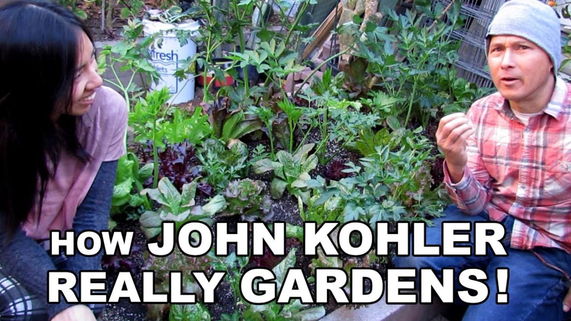 Square Foot Gardening With John Kohler Square Foot Gardening With John Kohler