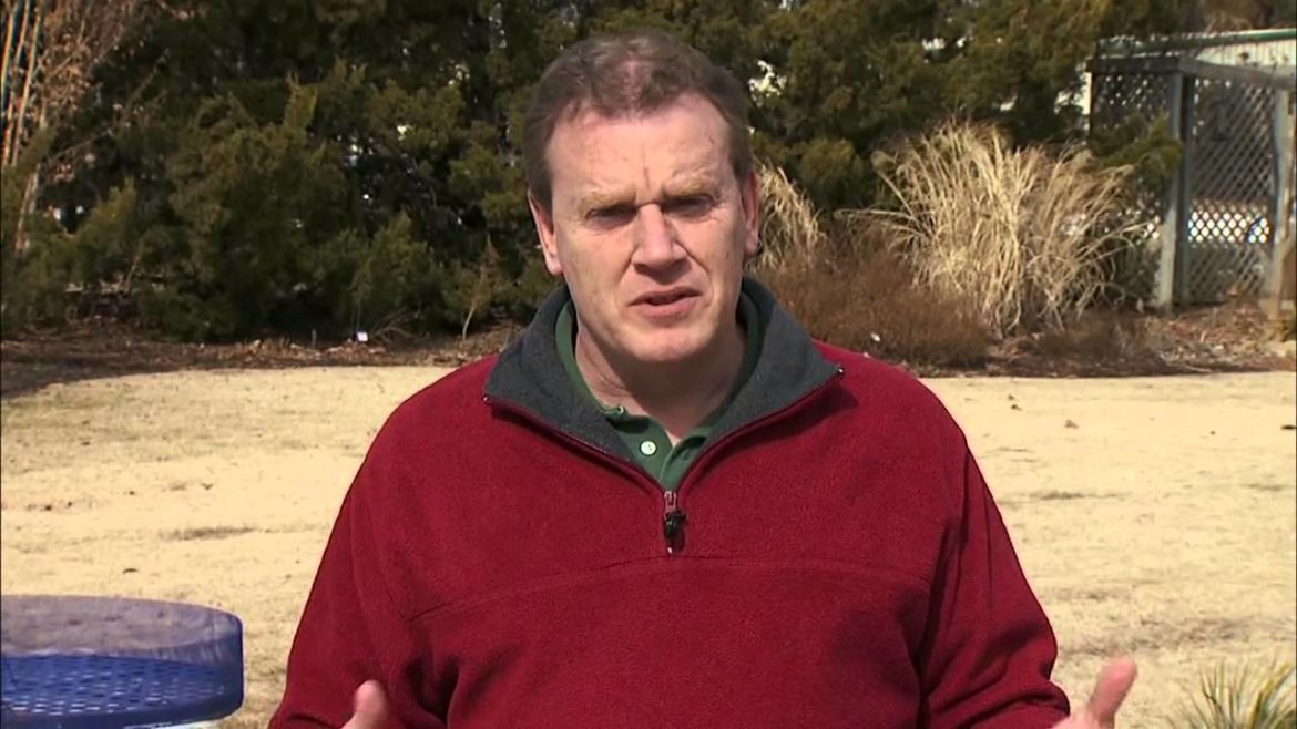 Garden Tips for March