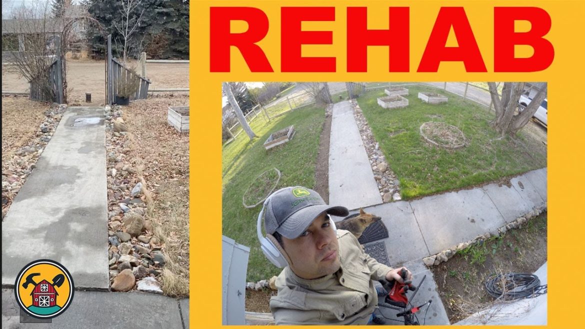 Rehab Front Yard for Chickens and a Mower