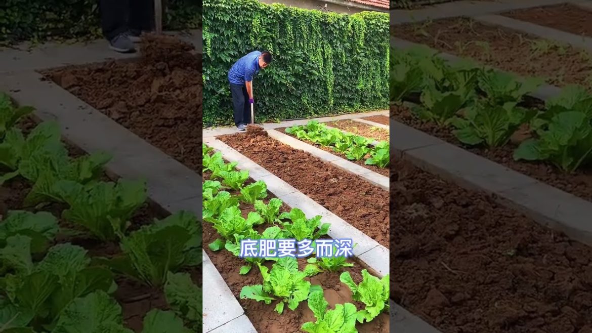 happened with garden at home happened with garden at home