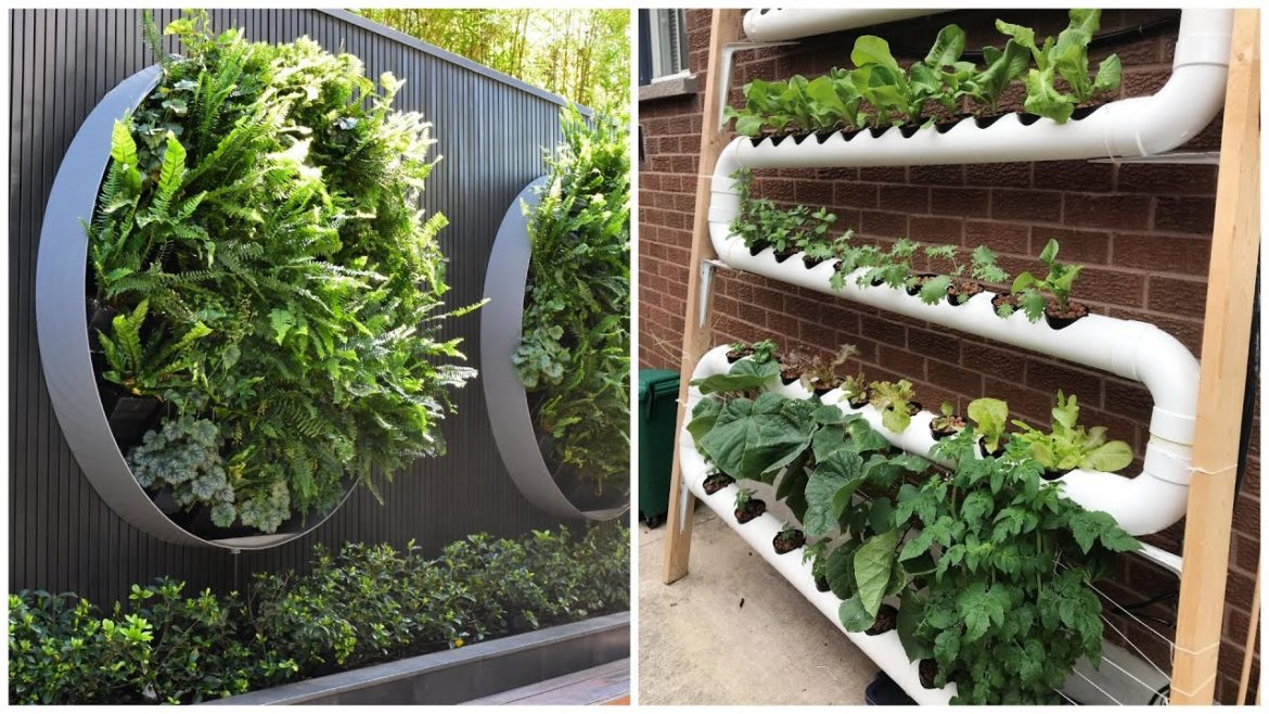 Beautiful vertical garden ideas! 50 examples to implement on your garden plot! Beautiful vertical garden ideas! 50 examples to implement on your garden plot!