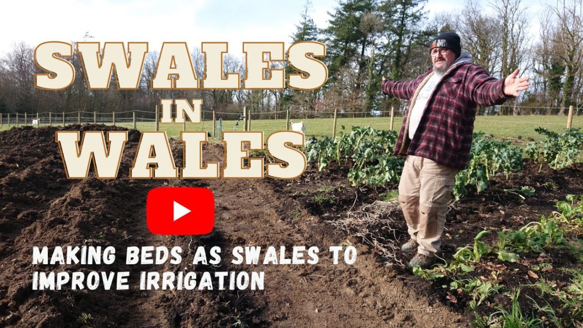 Making Swales To Improve Irrigation